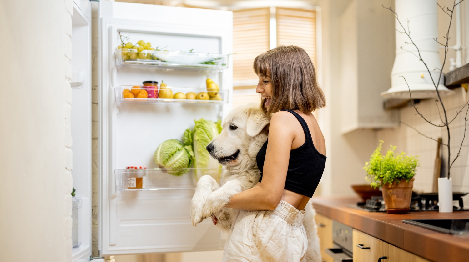 4 osnovni principi za ustrezno pripravo in shranjevanje živil